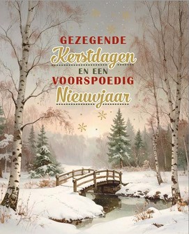 Kerstkaarten 9532